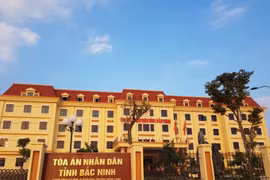 Sắp xét xử phúc thẩm vụ vợ kiện chồng đòi tài sản chung cho các con