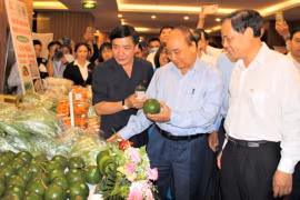Thủ tướng: Làm sao hình thành lớp nông dân mới, với tư duy đổi mới