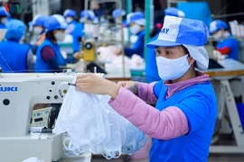 Doanh nghiệp không vội nộp đơn xin gia hạn thuế