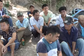 Bắt giữ hơn 40 đối tượng đang say sưa sát phạt nhau trên sới gà