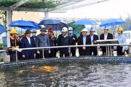 Formosa Hà Tĩnh đã khắc phục 53/53 lỗi vi phạm về môi trường