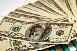 Tỷ giá ngoại tệ hôm nay 18/5: USD dao động nhẹ, Euro ổn định