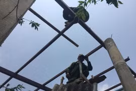 Lốc xoáy tại Quảng Bình làm 2 người bị thương