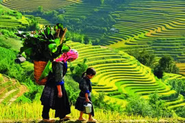 Huyện Văn Chấn: Đưa du lịch sinh thái, cộng đồng trở thành lĩnh vực kinh tế quan trọng