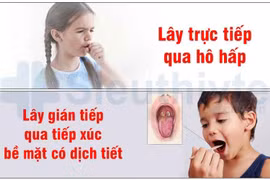 TP.HCM: Yêu cầu tăng cường phòng, chống bệnh bạch hầu trong trường học