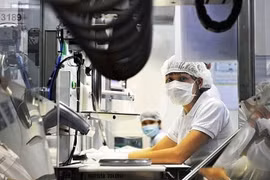 Người đứng đầu chịu trách nhiệm kiểm tra, giám sát về hợp tác đầu tư nước ngoài