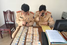 Thanh Hoá: Phát hiện, thu giữ hàng trăm giấy phép lái xe giả