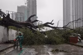 Bão Vamco tấn công Philippines, làm tê liệt các khu vực của Manila