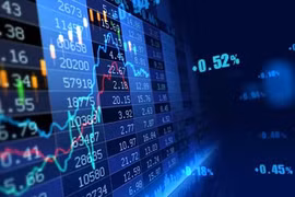 Thị trường chứng khoán liên tục thu hút dòng tiền nội trong tháng cuối năm