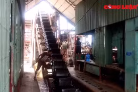 Cơ quan chức năng tỉnh Tuyên Quang "làm ngơ" cho doanh nghiệp khai thác cát ?