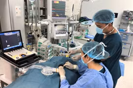 Vinmec công bố nghiên cứu đột phá về giảm đau trong mổ tim hở trẻ em