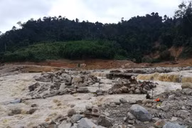 Quảng Nam: Đã tìm thấy thi thể Phó Bí thư Đoàn xã bị vùi lấp khi giúp dân chống bão