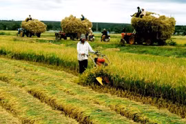 Hôm nay, Quốc hội thảo luận dự thảo Nghị quyết về miễn thuế sử dụng đất nông nghiệp