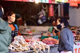 Tăng cường thêm cửa hàng lưu động, dã chiến cung ứng thực phẩm cho người dân