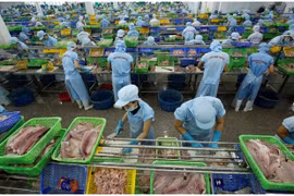 Việt Nam thuộc nhóm tăng trưởng cao nhất thế giới