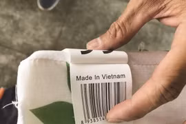 Phát hiện doanh nghiệp dùng C/O giả trốn thuế trên 300 triệu đồng