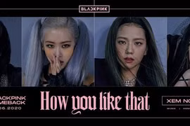 Mãn nhãn với BLACKPINK trong MV "How You Like That"