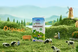 ĐHCĐ Vinamilk: Doanh thu quý 2/2020 tăng 2 chữ số so với quý 1
