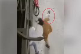 Clip chồng túm tóc giật ngược khiến người mẹ đánh rơi đứa bé 6 tháng tuổi xuống đất