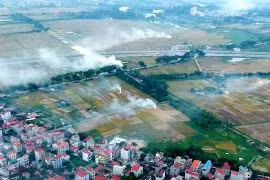 Hà Nội: Chấm dứt hoàn toàn tình trạng đốt rơm rạ trước ngày 31/12/2020