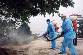 Bộ Y tế cảnh báo dịch sốt xuất huyết 'tăng cao bất thường'