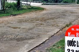 Bổ sung Quốc lộ 8C và 281 vào Quy hoạch mạng lưới đường bộ
