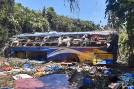 Sao lại đi như thế?