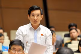 Đại biểu Quốc hội đề xuất ban hành Luật Bảo vệ người tốt