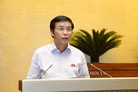 Năm 2021, Quốc hội sẽ không thực hiện giám sát chuyên đề