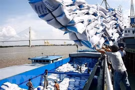 Gạo xuất khẩu Việt Nam đang có giá nhất thế giới