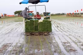 Bình Giang (Hải Dương): Những bước chuyển mình qua 5 năm đổi mới