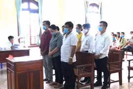 Bản tin pháp luật 8H: Hối lộ thanh tra giao thông, doanh nghiệp bị "phạt tiền" thay phạt tù