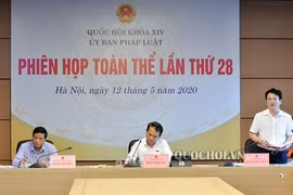 Đề xuất thí điểm tổ chức chính quyền đô thị tại TP Đà Nẵng