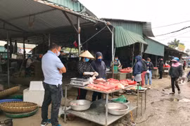 Giá thịt lợn tăng phi mã, người dân có nên thay đổi nhu cầu tiêu dùng?