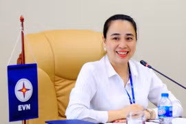 Nữ CEO duy nhất của ngành điện Việt Nam