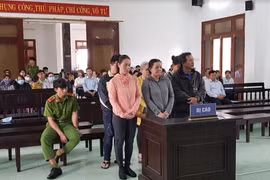Bản án 20 năm tù cho hiệu trưởng trường mầm non làm giả hồ sơ chiếm đoạt 7 tỷ đồng