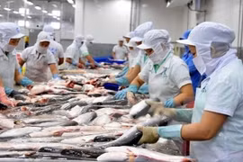 VASEP khuyến cáo doanh nghiệp cá tra không hạ thấp giá xuất khẩu