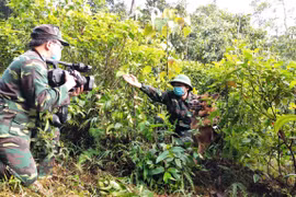 Bài 5: “Những người lính” không mang quân phục
