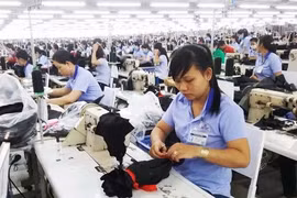 Người lao động nên cân nhắc khi quyết định nhận BHXH một lần