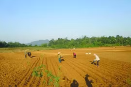 Khúc giao mùa giữa vùng rốn lũ!