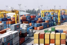 Hàng phế liệu chỉ được tái xuất khi có kết quả giám định