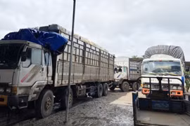 TP.HCM: Phát hiện, bắt giữ lô hàng cấm nhập khẩu đang vận chuyển đi tiêu thụ