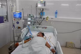 Ngộ độc nấm ở Quảng Ngãi, 3 người trong gia đình tử vong