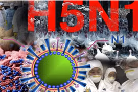 Tăng cường tin, bài tuyên truyền phòng, chống dịch cúm A (H5N1)