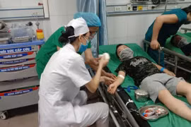 Nghệ An: Hàng chục học sinh tiểu học nhập viện do bị ong đốt