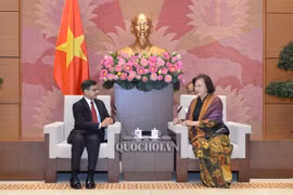 Chủ tịch Quốc hội Nguyễn Thị Kim Ngân tiếp Đại sứ Ấn Độ Pranay Verma