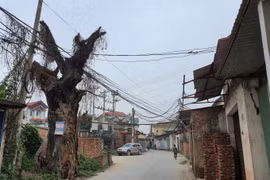 Nhà đất phố cổ thất thế, đất nền ven đô trở thành 'con gà đẻ trứng vàng' của giới đầu tư Hà Nội