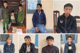 Phá thành công chuyên án về ma túy "121M", bắt 7 đối tượng