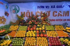 Bắc Giang: Đưa đặc sản vùng lên sàn giao dịch thương mại điện tử