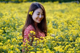 Đừng bỏ lỡ thung lũng ngàn hoa giữa lòng Hà Nội